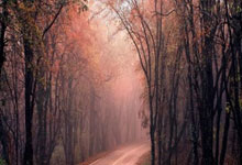 镜报解读热刺财报:列维是在公开呼吁主帅 要求其夺得欧联杯冠军.