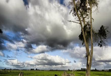 韦德体育官网:曼联想要引进当红炸子鸡西蒙斯替代B哥,德甲球星身价不低.