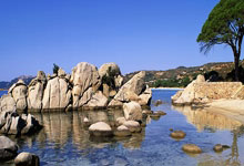 韦德体育官网：NBA：金州勇士队将退役伊戈达拉球衣.